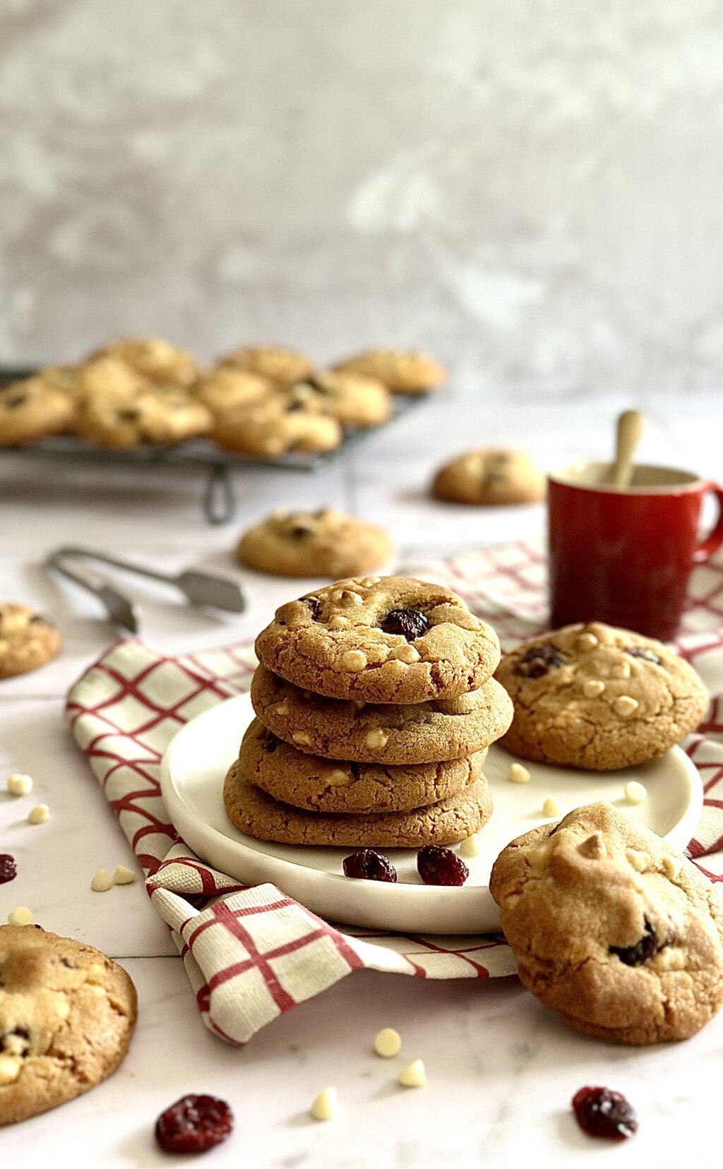 Weiße Schoko Cranberry Cookies - Von Januar bis Dezember